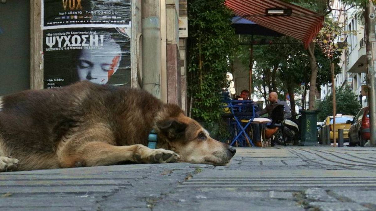 «Οι άγνωστοι Αθηναίοι» από σήμερα μέχρι την Τετάρτη στο Cine Φλοίσβος