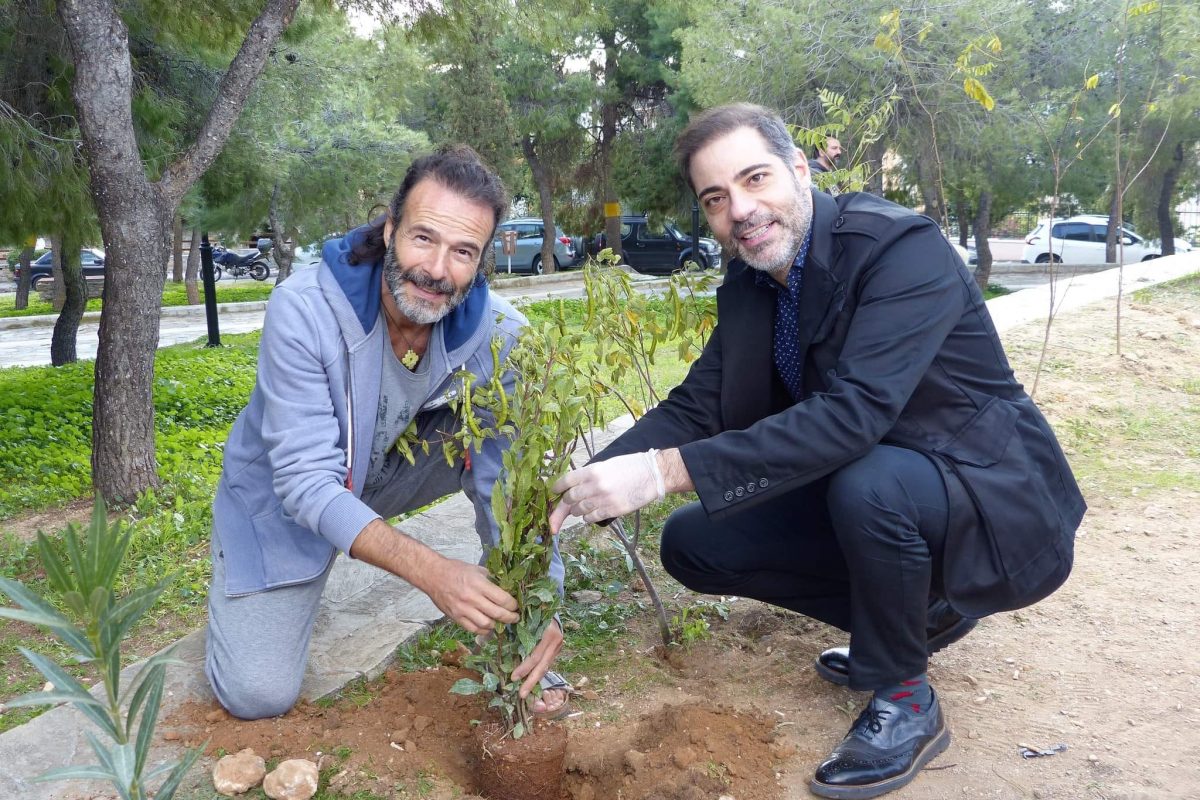 Δήμος Αλίμου: 500 νέα δέντρα στον λόφο Πανί