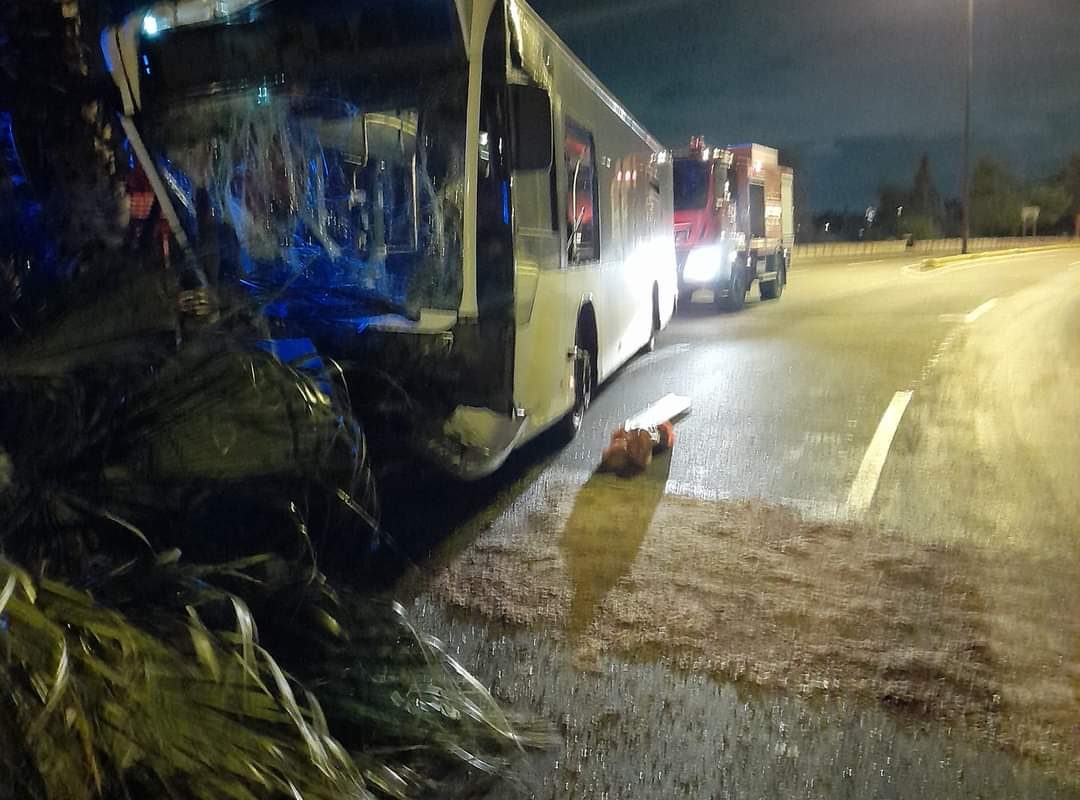 Τροχαίο στην παραλιακή: Λεωφορείο έπεσε πάνω σε φοίνικες της νησίδας