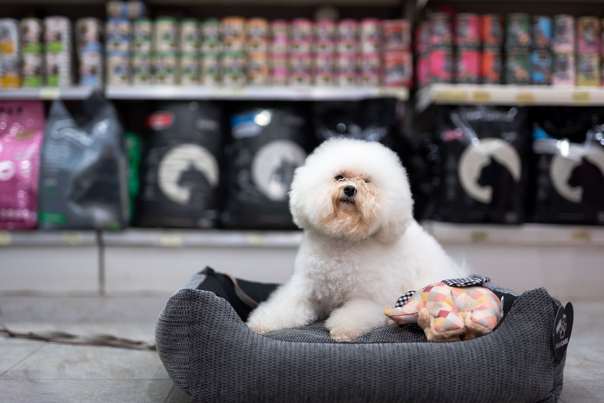Pet Shop Voula: Ο πιο πιστός φίλος του κατοικίδιού σου στη Βούλα